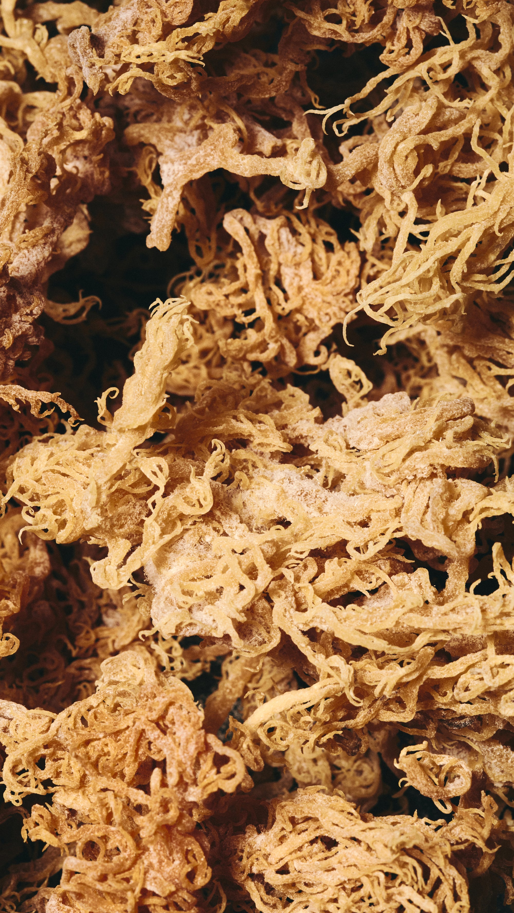 Raw Golden Sea Moss 100G