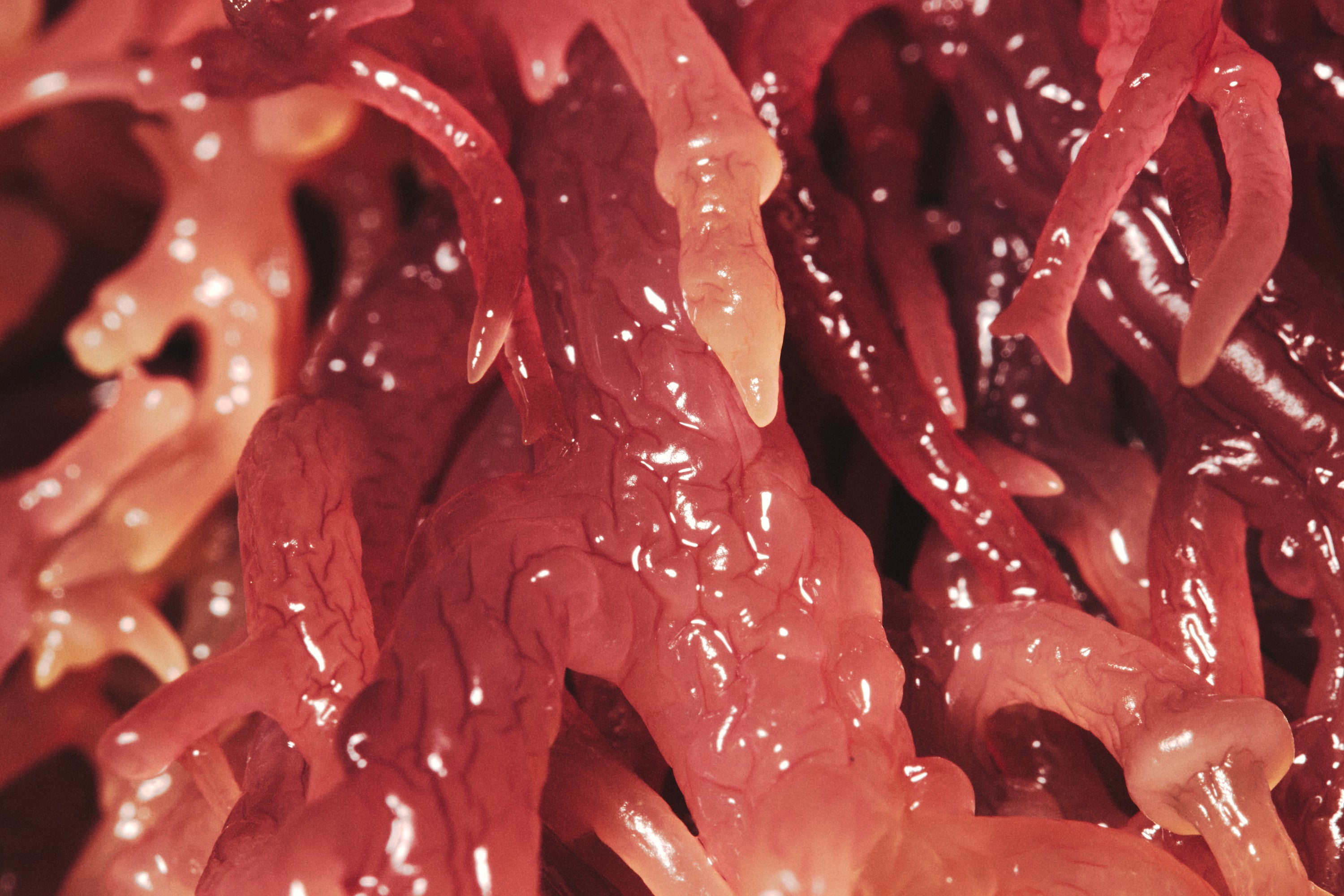 Raw Purple Sea Moss 100G