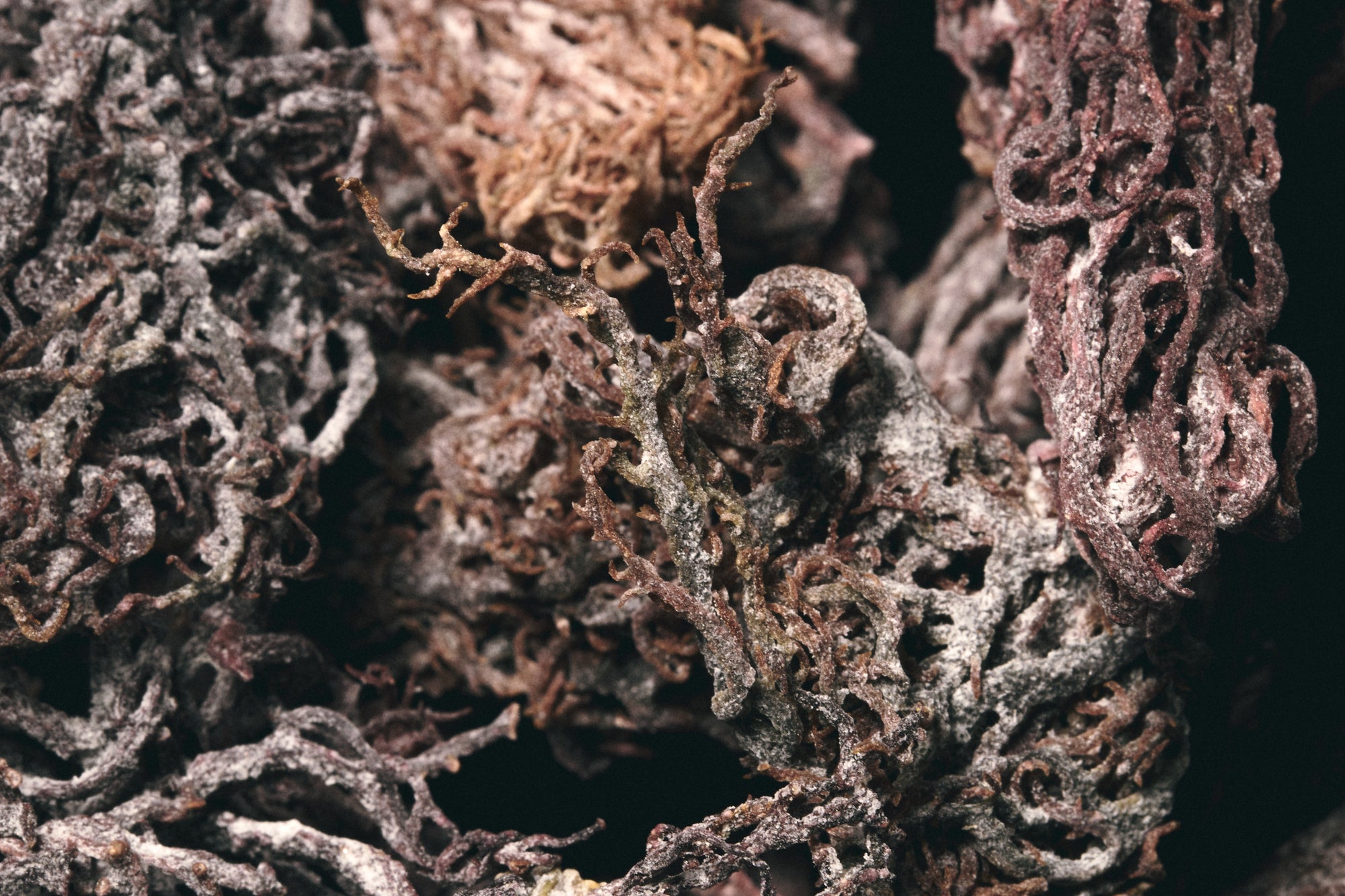 Raw Purple Sea Moss 100G